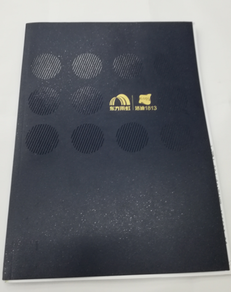 洛迪環(huán)?？萍计髽I(yè)宣傳畫冊印刷圖1