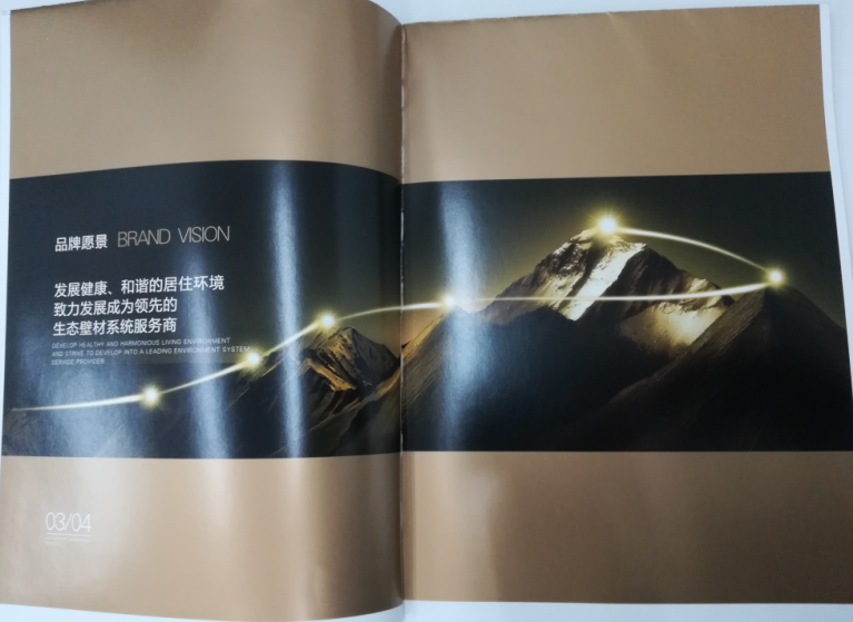 洛迪環(huán)?？萍计髽I(yè)宣傳畫冊印刷圖2